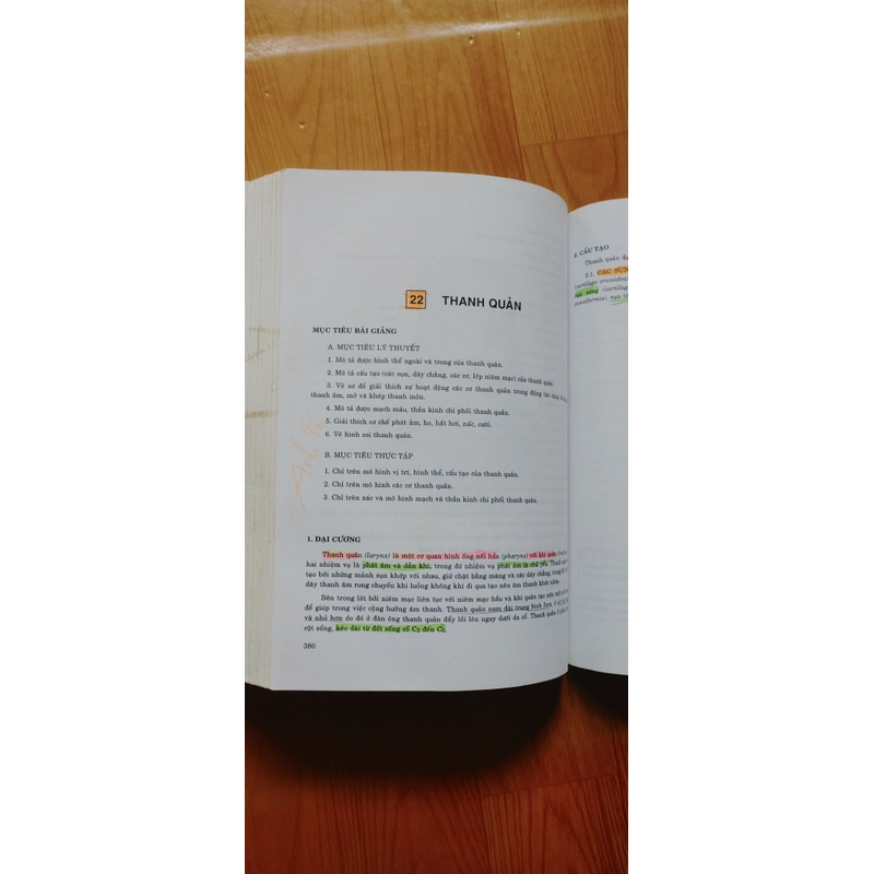 GIẢI PHẪU HỌC  505180