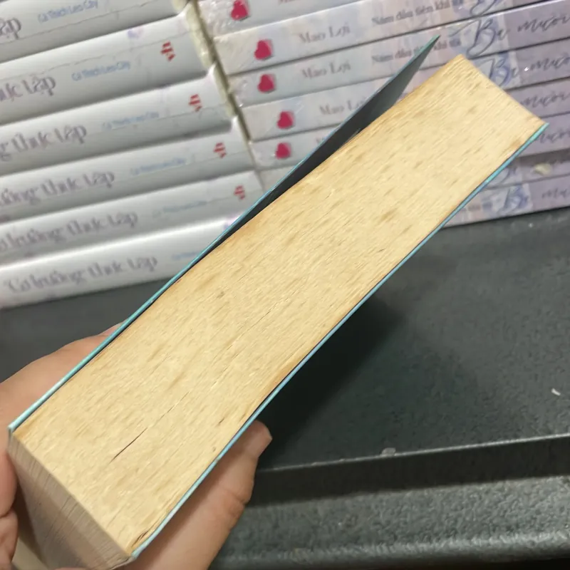 (ngôn tình) - Nếu không là tình yêu - Diệp Lạc Vô Tâm 1000544