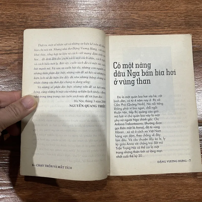 Chạy trốn và mất tích - Đặng Vương Hưng (6) 757340