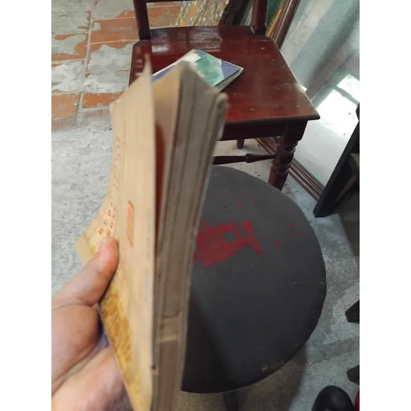 Đuốc thiêng trong sa mạc ( Death comes for the archbishop ) của Wlla Cather 1002614