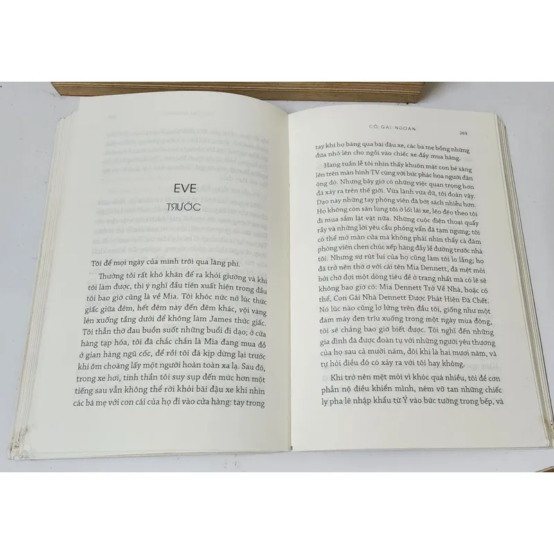 Tiểu thuyết CÔ GÁI NGOAN  (The Good Girl) - Mary Kubica (575 trang) 742908