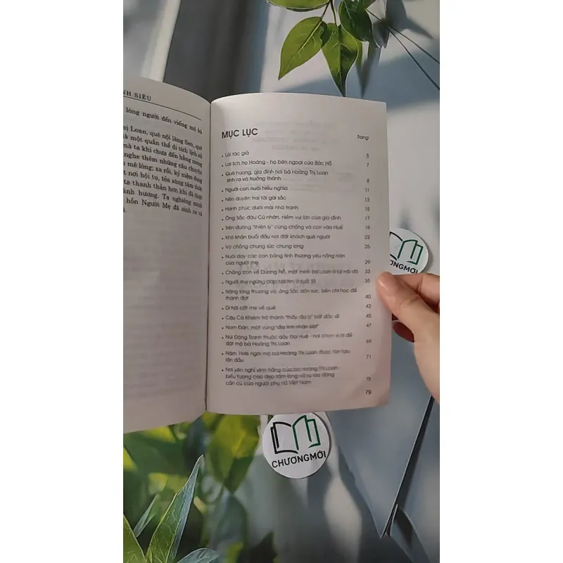 Chuyện Kể Bên Mộ Bà Hoàng Thị Loan - Bá Ngọc & Trần Minh Siêu 970228