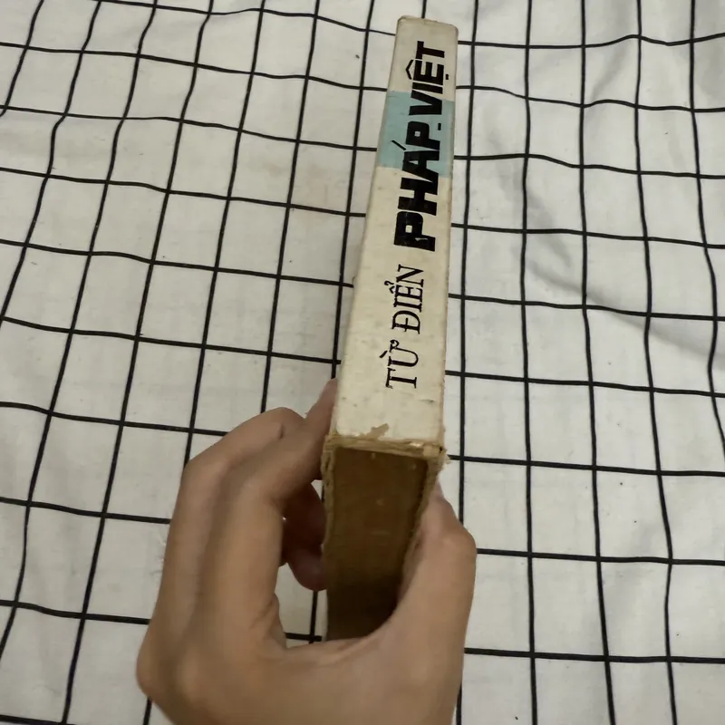 Từ điển Pháp - Việt 597010