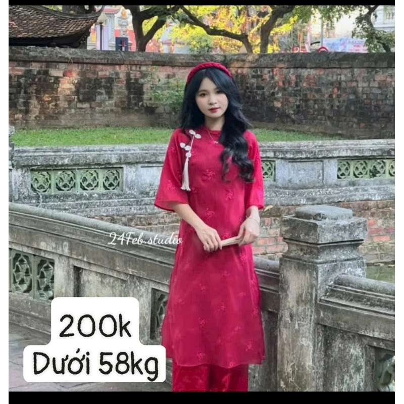 Áp dài cách tân 2 lớp  444491