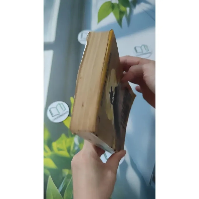 [MIỄN PHÍ BỌC SÁCH] [XƯA] Tiêu Sơn Tráng Sĩ (1989) - Khái Hưng 997648