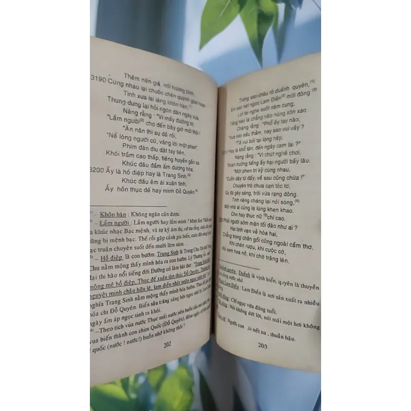 Truyện Kiều - Việt Chương chú giải - Nguyễn Du 798520