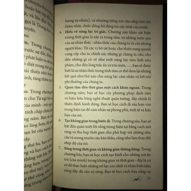 Đức Phật & thời gian - Nhận thức về những khả tính vô hạn của hiện tại  733464