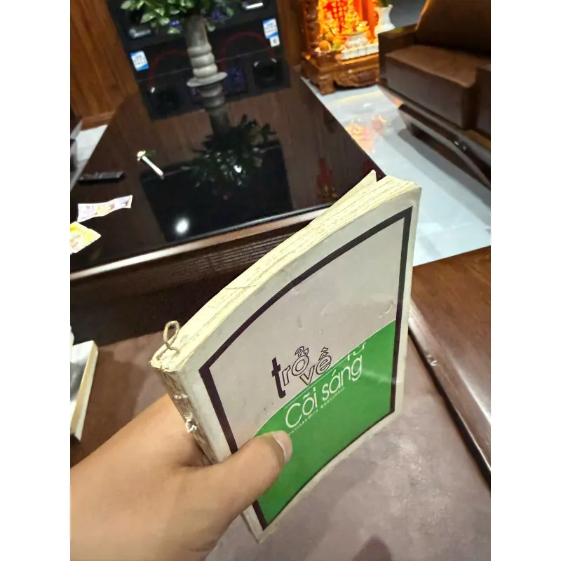 TRỞ VỀ TỪ CÕI SÁNG – Nguyễn Phong- K5 1033685