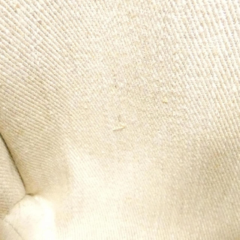 Túi xách nhỏ Woody Chloe CHC22AS397 I26 609872