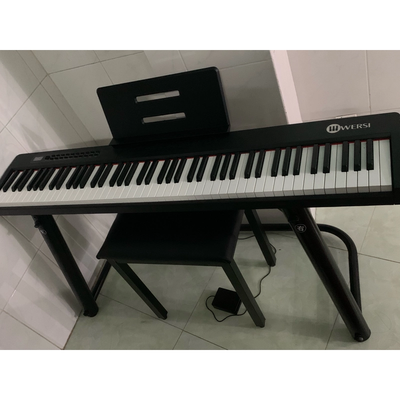 Đàn piano điện Wersi24  379188