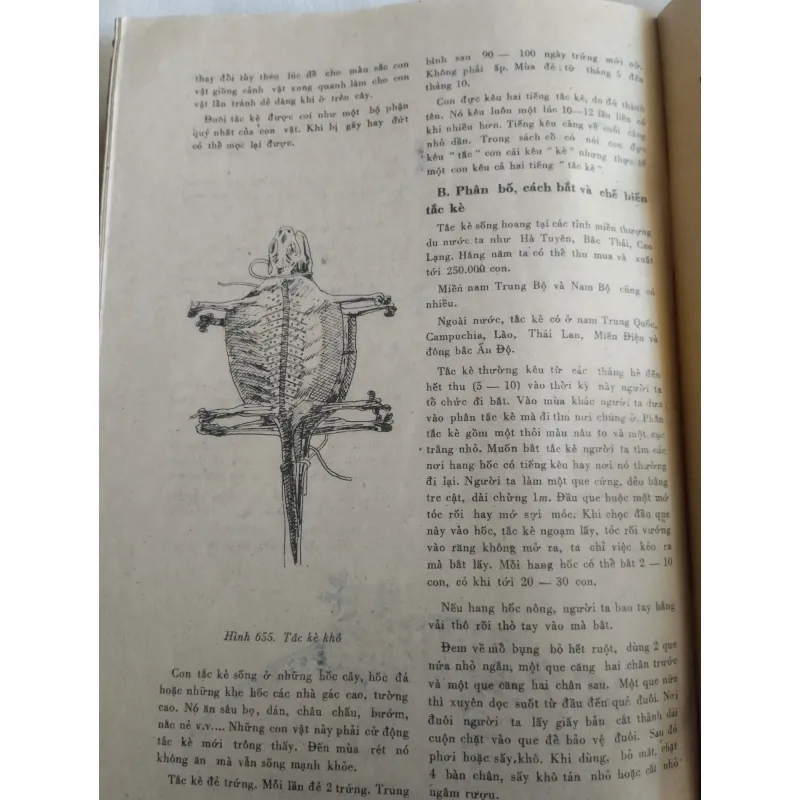 Những cây thuốc và vị thuốc Việt Nam.
Tác giả: Đỗ Tất Lợi.
 761616