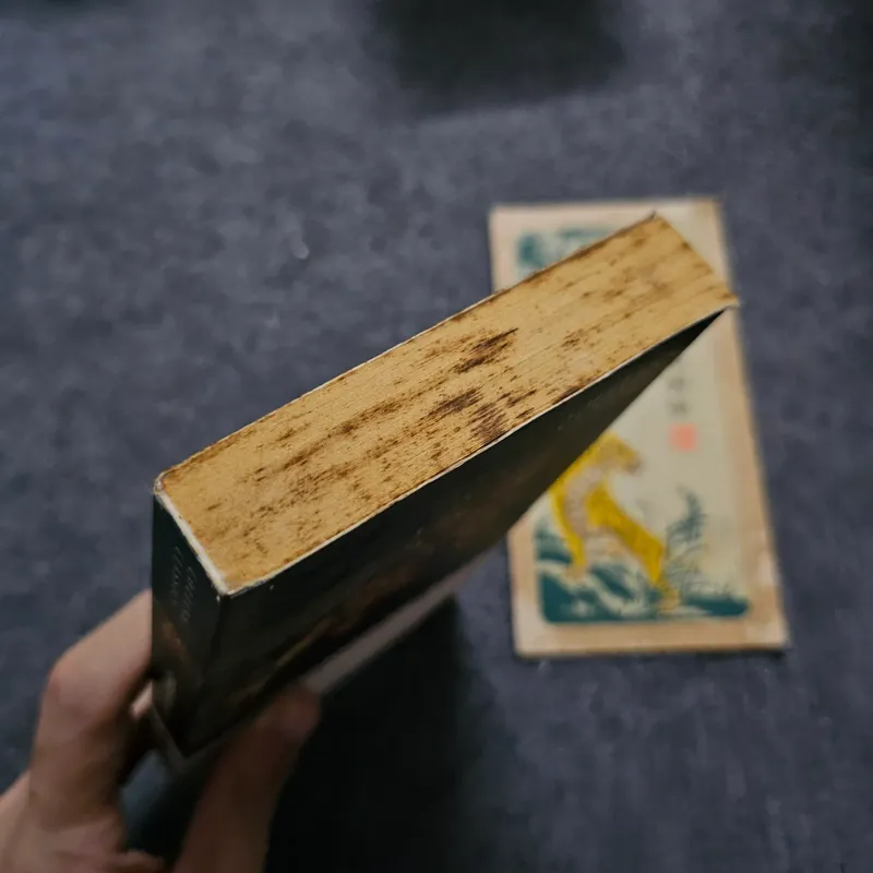 Christmas stories - Charles Dickens 740739