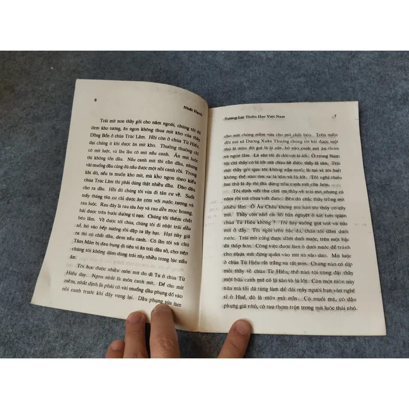 TƯƠNG LAI THIỀN HỌC VIỆT NAM 718962