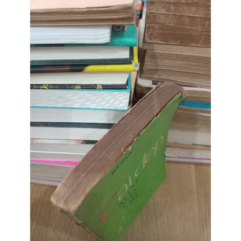 Cái đẹp một giá trị - Đỗ Huy 732656