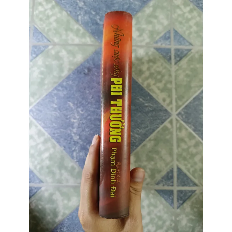 Những cuộc sống phi thường - 34 linh mục kể chuyện đời mình - Francis P. Friedl 708895