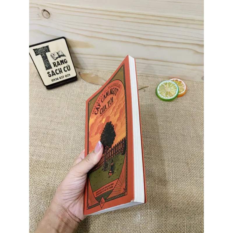 Cây cam ngọt của tôi 927193