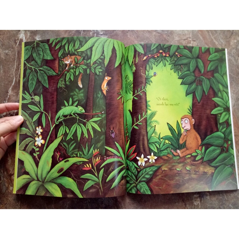 Combo 6 truyện tranh của tác giả Julia Donaldson 532460