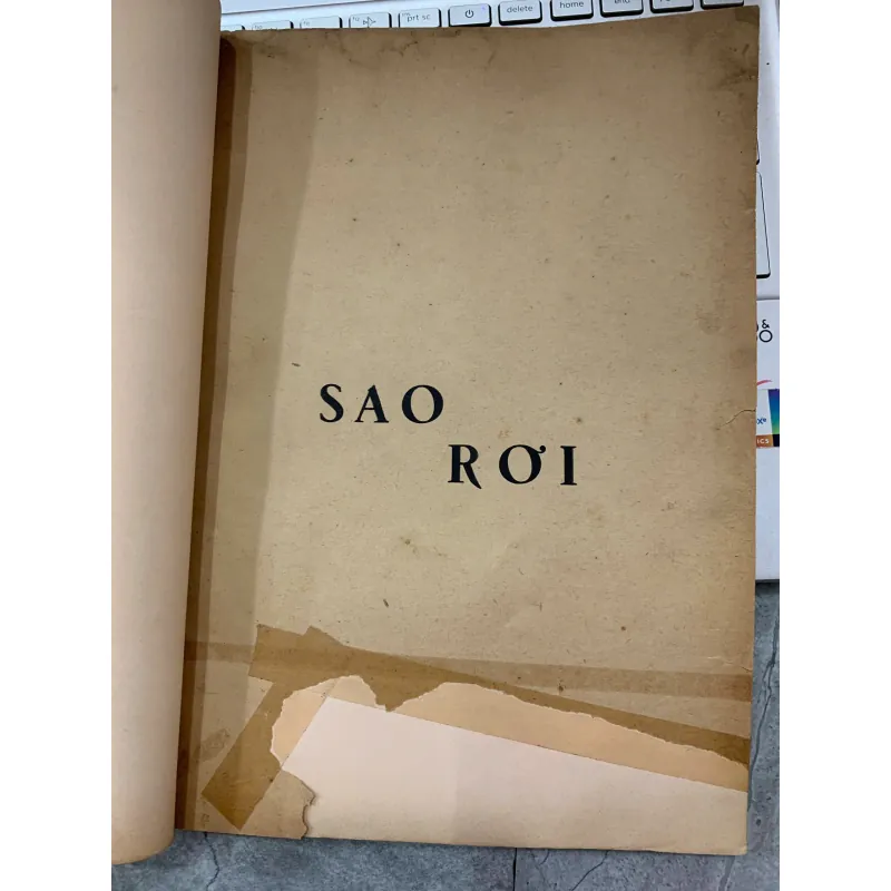SAO RƠI - TRÚC SĨ 933785