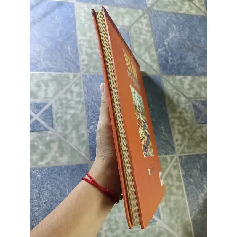 Mít Đặc ở xứ sở Mặt Trời 2 - Ni- cô- lai Nô- xốp 780235