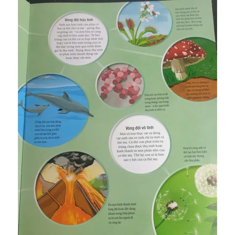 Vòng Đời - Vạn Vật Từ Khởi Đầu Cho Đến Kết Thúc 1009017