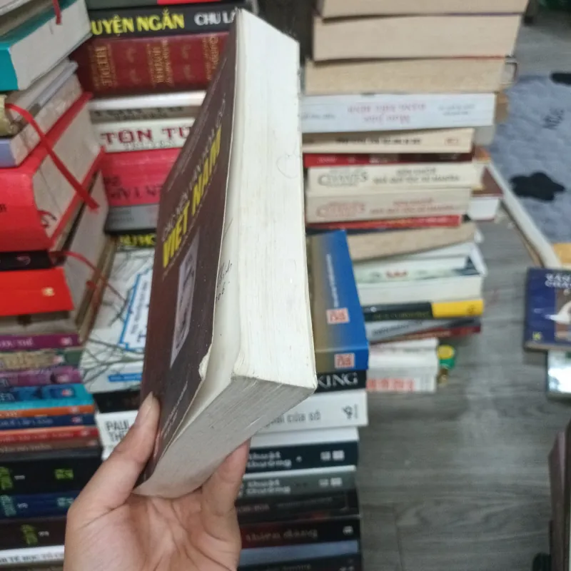 Các nền văn hóa cổ Việt Nam - Hoàng Xuân Chinh 933893