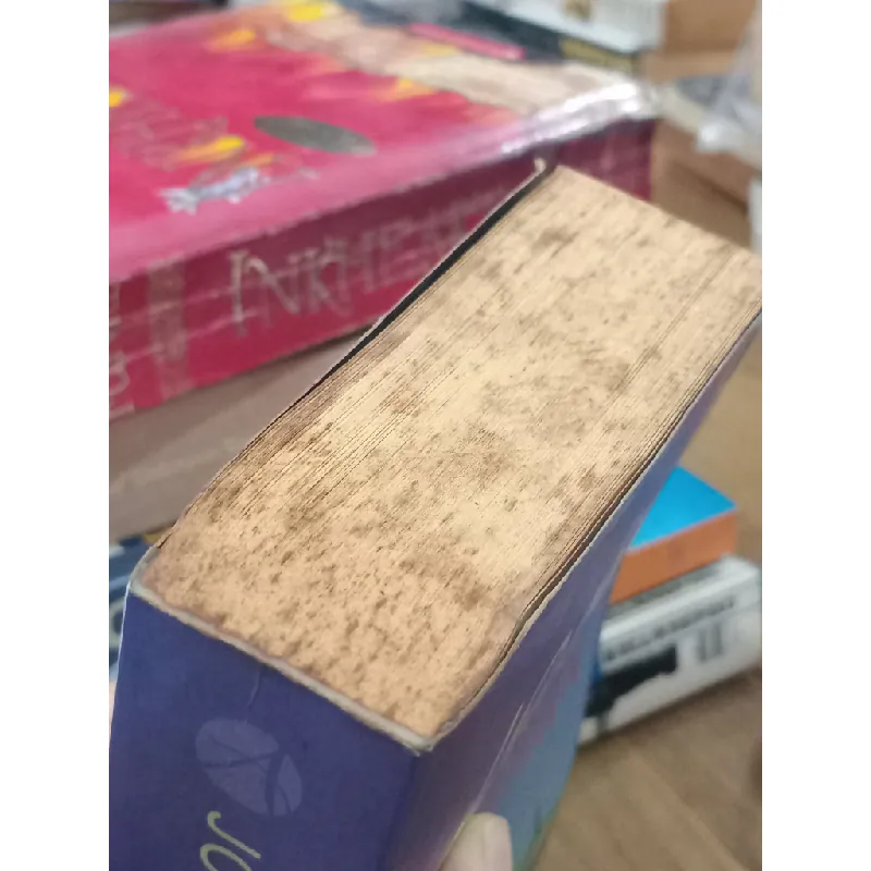 The Brethren - John Grisham 675281