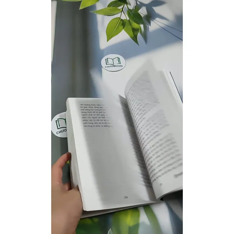 Tiền Kiếp - Có Hay Không? 705673