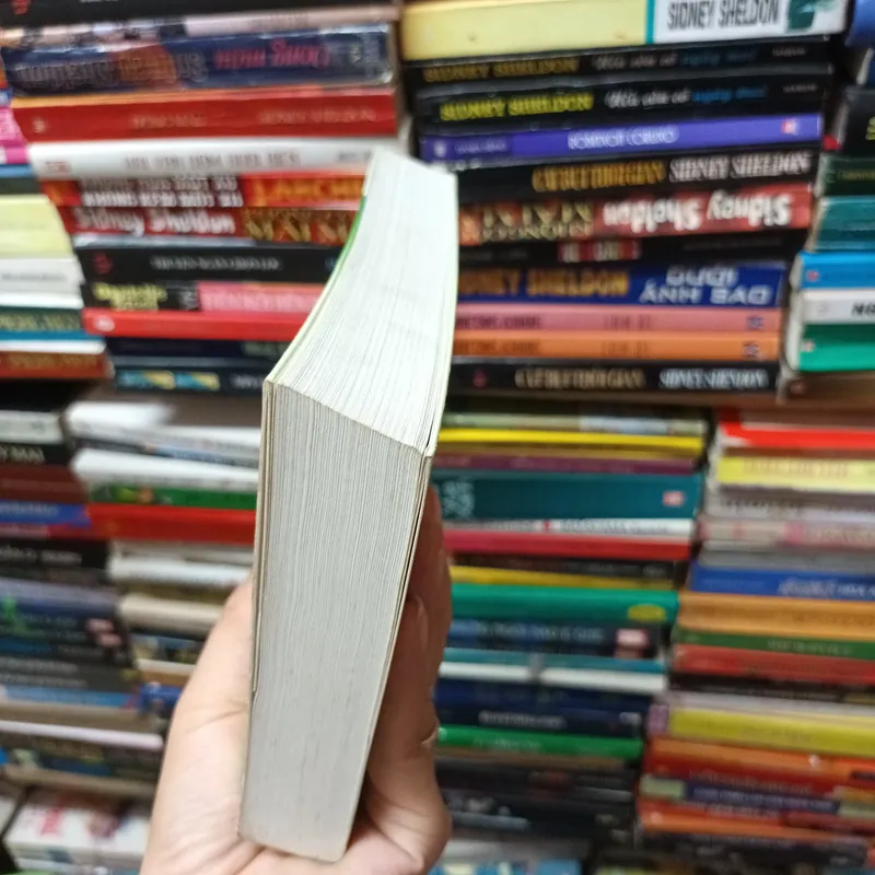 Jenny Ghechac 675608