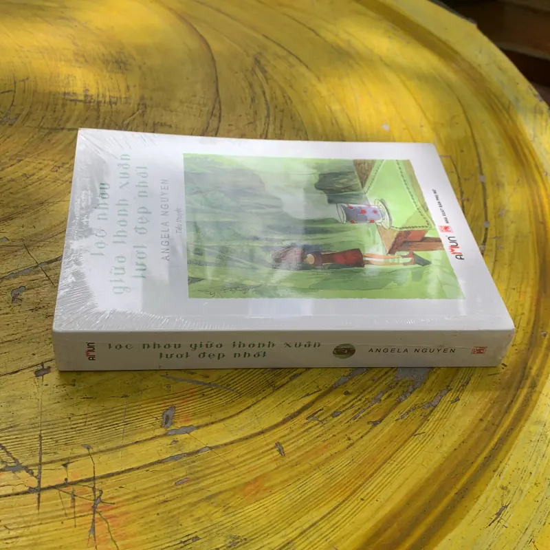 LẠC NHAU GIỮA THANH XUÂN TƯƠI ĐẸP NHẤT - ANGELA NGUYÊN 744939