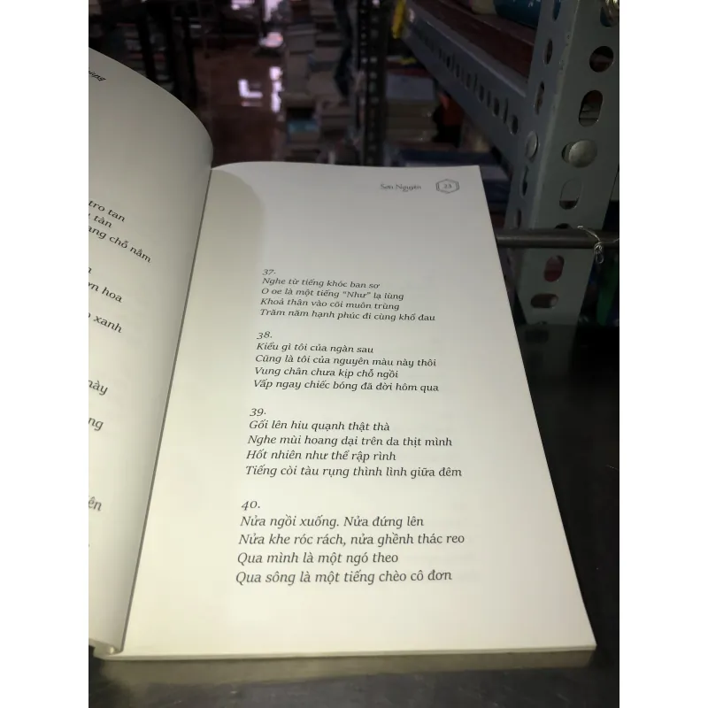 Lục bát nghìn trùng - Sơn Nguyên 1009502