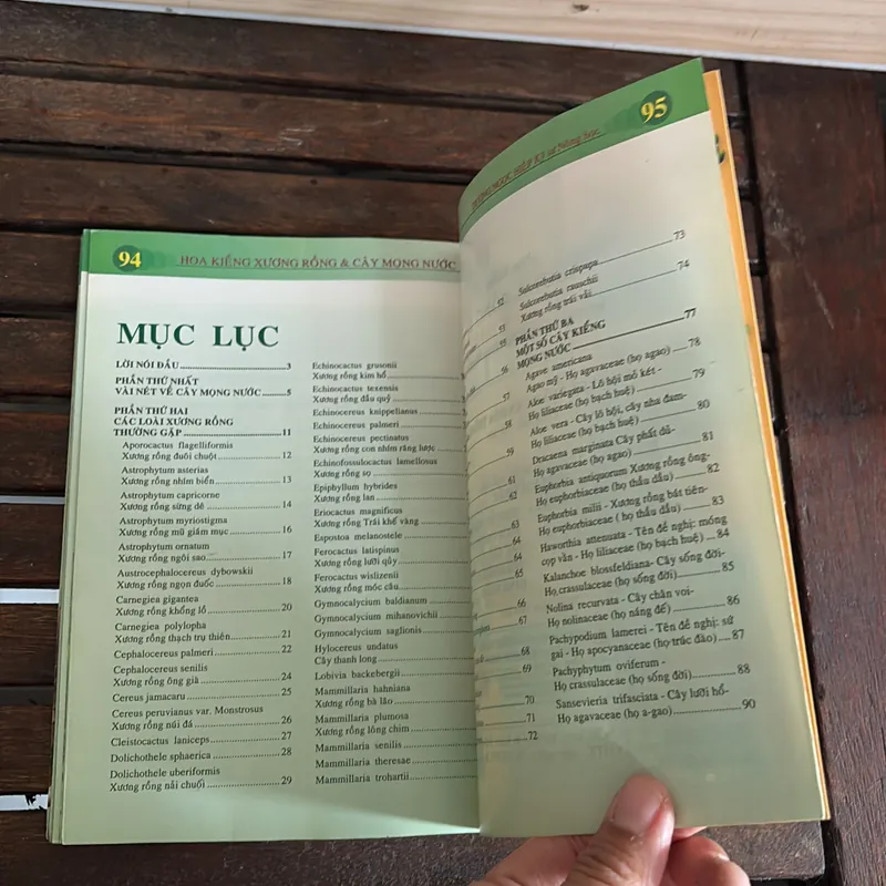 II Cây Cảnh: Xương Rồng Và Cây Mọng Nước (Sách Màu) - Dương Ngọc Hiệp 718583