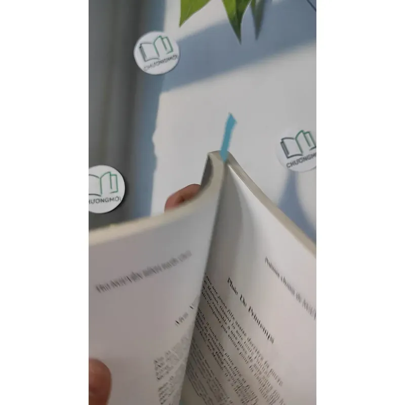 Thơ Nguyễn Bính Tuyển Chọn - Song ngữ Việt Pháp - Hoàng Hữu Đản dịch 798292