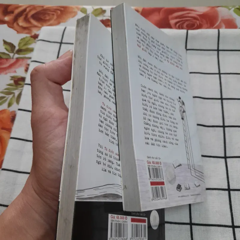 Từ điển THẾ GIỚI CẢM XÚC [từ hay và lạ các nước] bộ 2 tập. Tg. CHUYỆN. Xb Kim Đồng 2021 748758