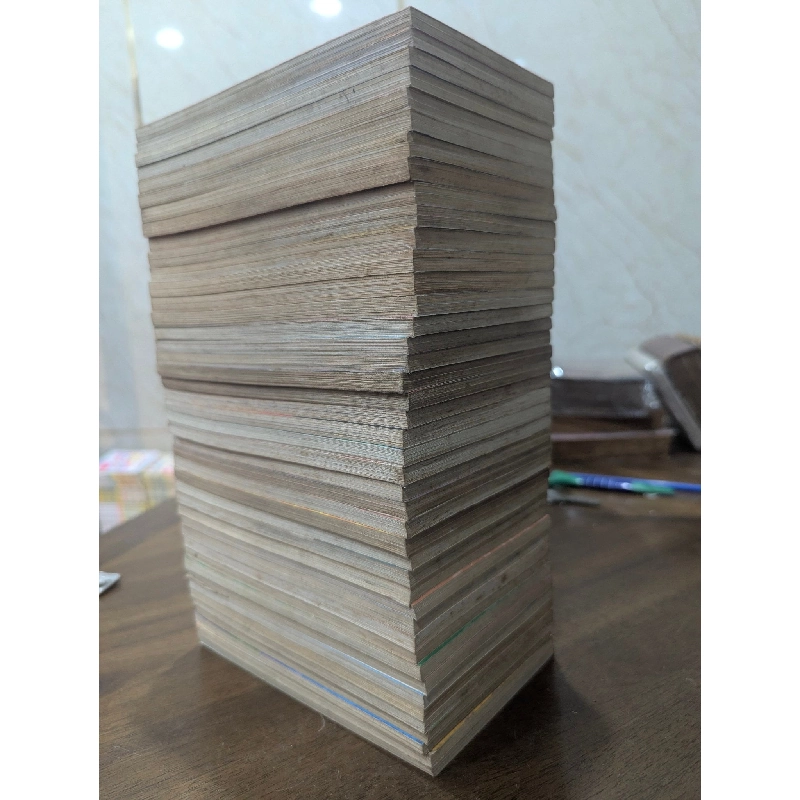 Pokemon hành trình Johto ( truyện chữ ) 761784