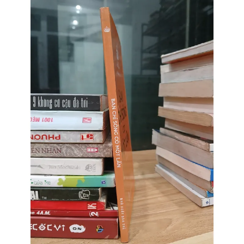 Bạn chỉ sống có một lần — Nhã Nam 576756