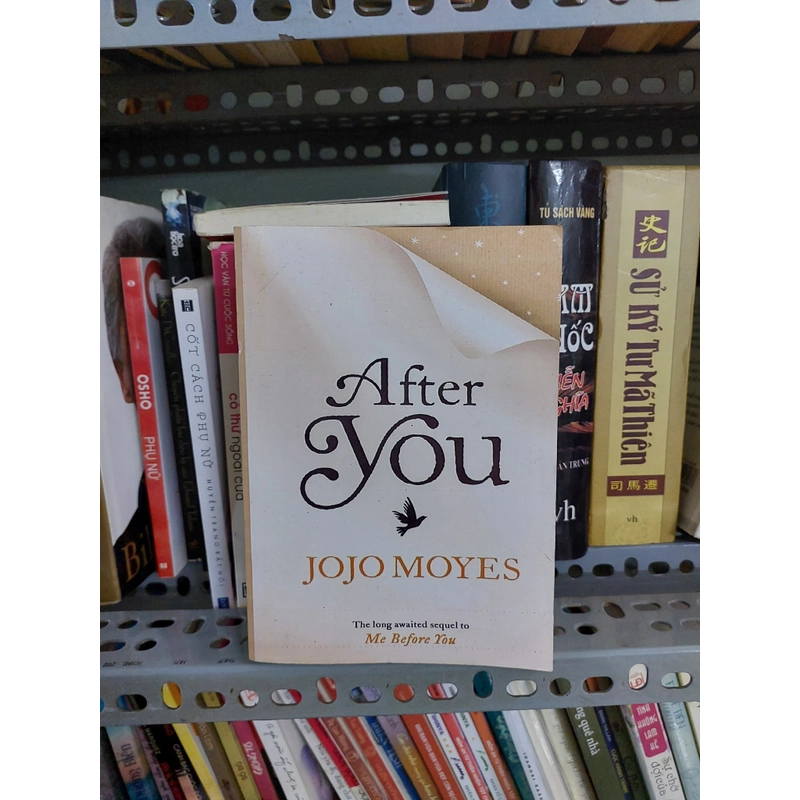 AFTER YOU (SAU KHI ANH ĐI) 455055