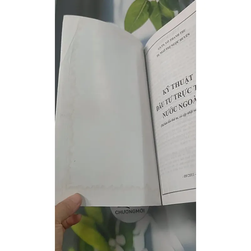 Kỹ thuật đầu tư trực tiếp nước ngoài - GS TS Võ Thanh Thu 688445