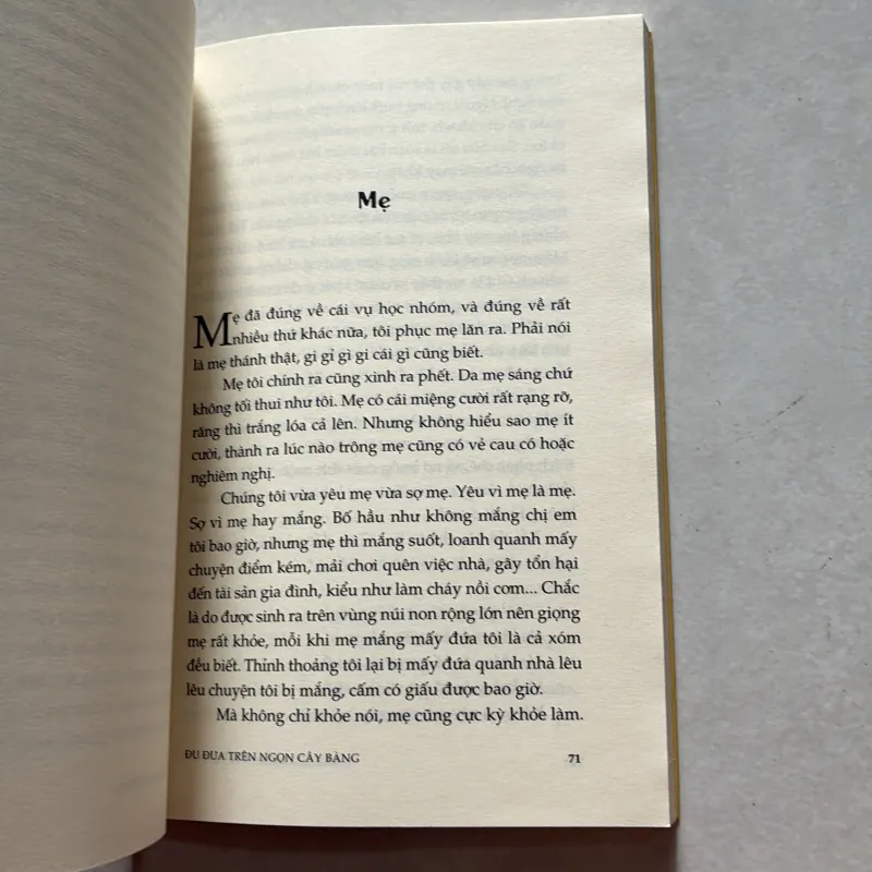 Đu đưa trên ngọn cây bàng - Nguyễn Hoàng Diệu Thuý (t01) 750249