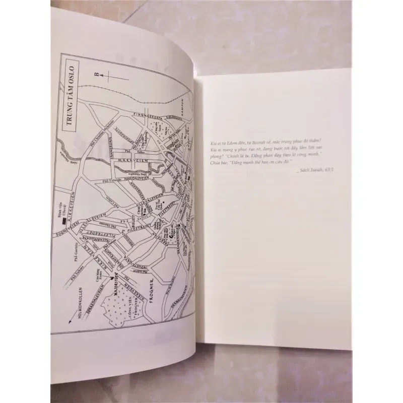 Sách: Đấng cứu thế - TG: Jo Nesbo 934028