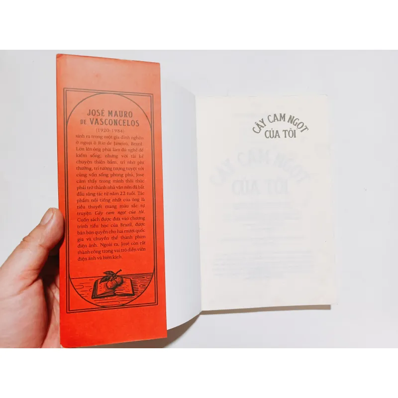 Cây Cam Ngọt Của Tôi - José Mauro de Vasconcelos 932330