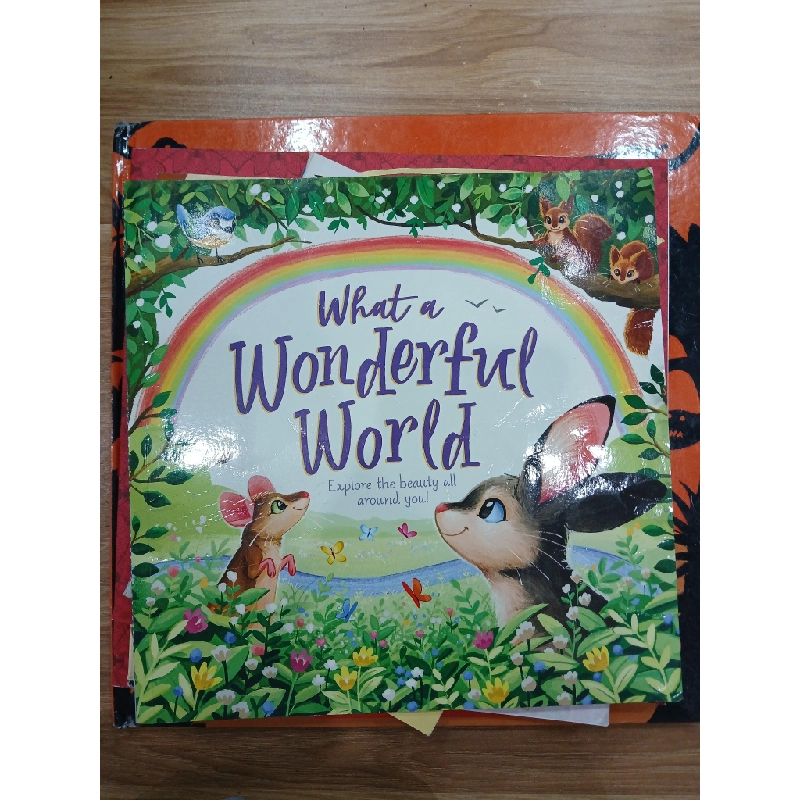 What a Wonderful World - N/A 543129