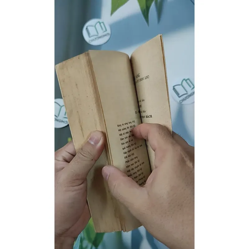 [XƯA] Cây Bút Vàng 2 (1999) 798305