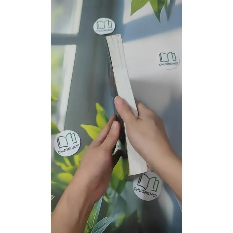 Bí Quyết Tay Trắng Thành Triệu Phú - Adam Khoo 1018948