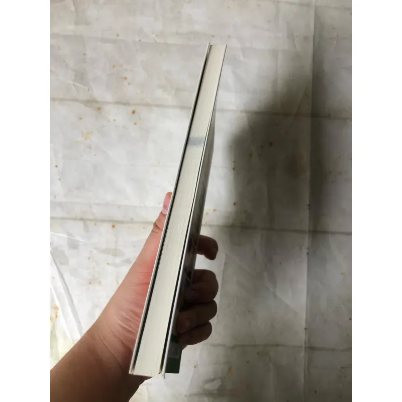 Chim Không Hót Lúc Bình Minh - Trúc Phương 785316