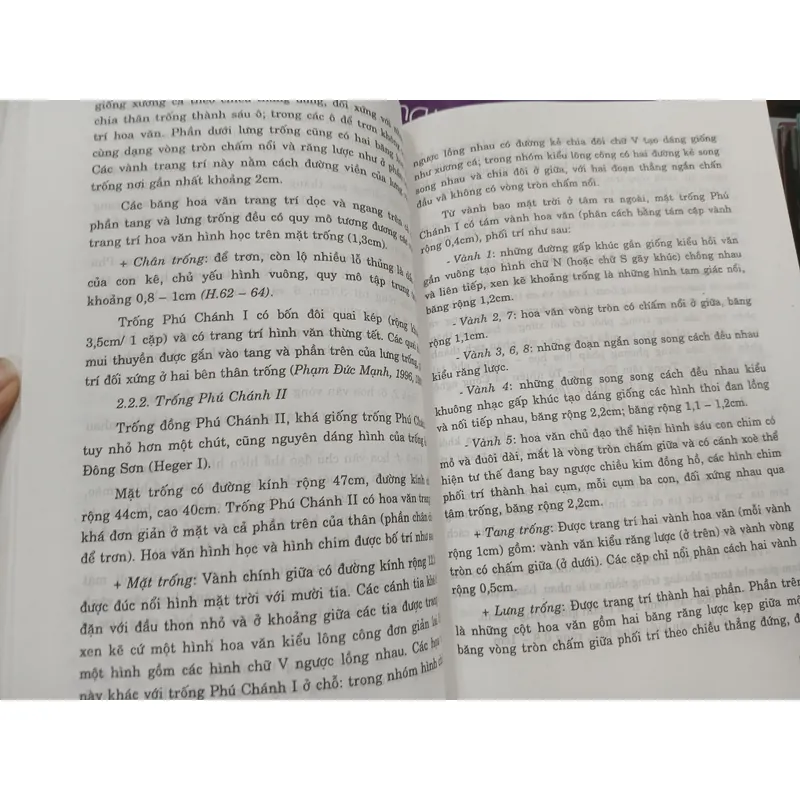 TRỐNG ĐỒNG KIỂU ĐÔNG SƠN Ở MIỀN NAM VIỆT NAM - PHẠM ĐỨC MẠNH 720826