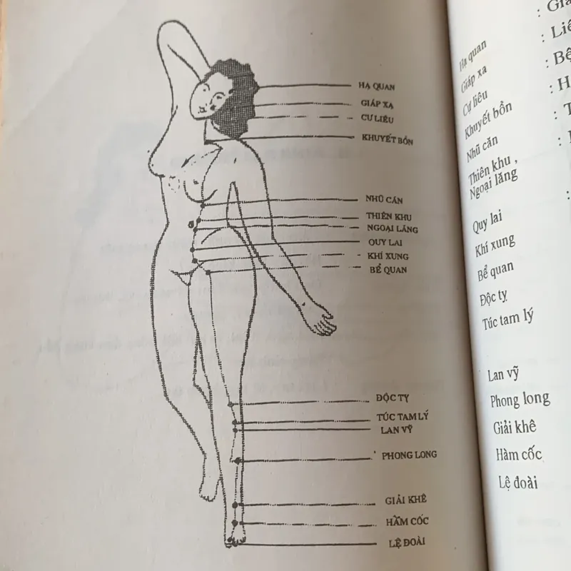 Nhân điện những phát hiện và ứng dụng, Nguyễn Đình Phư 703684