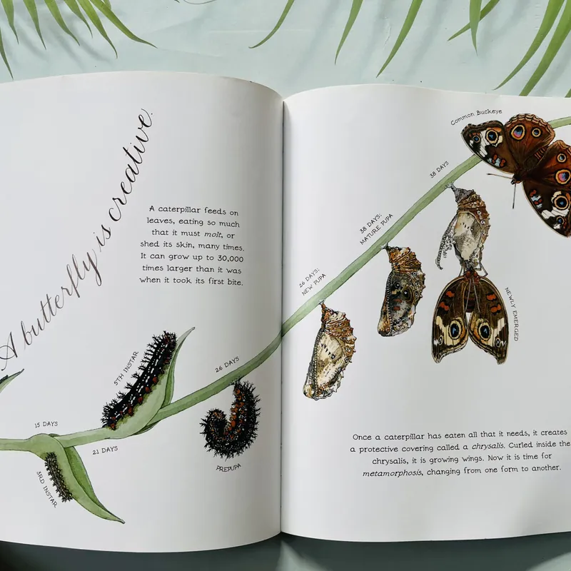 A Butterfly Is Patient – Dianna Hutts Aston & Sylvia Long 690108
