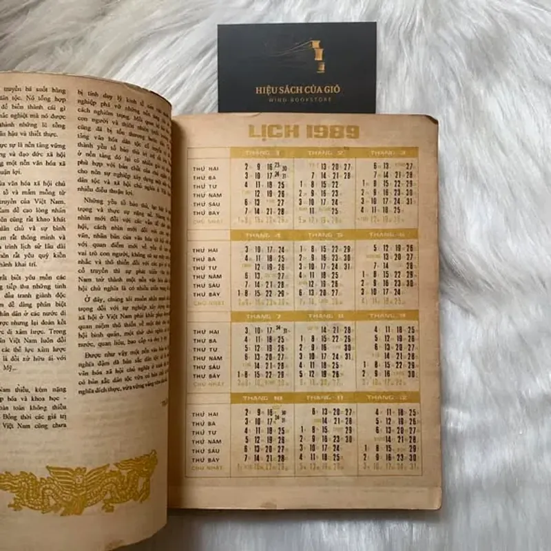 Văn hoá Việt Nam tổng hợp 1989 – 1995 (Memento) 790330