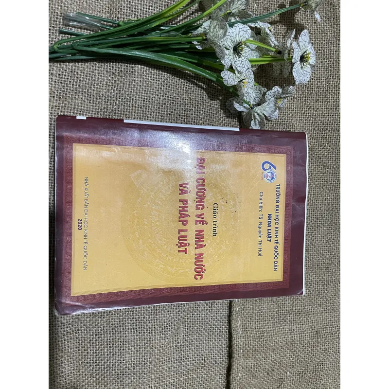 Giống trình đại cương nhà nước và pháp , 500 trang  797688