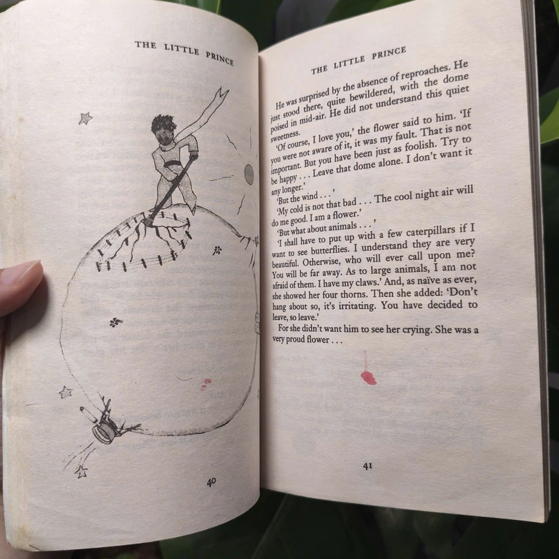 The Little Prince - Antoine de Saint-Exupéry 528483